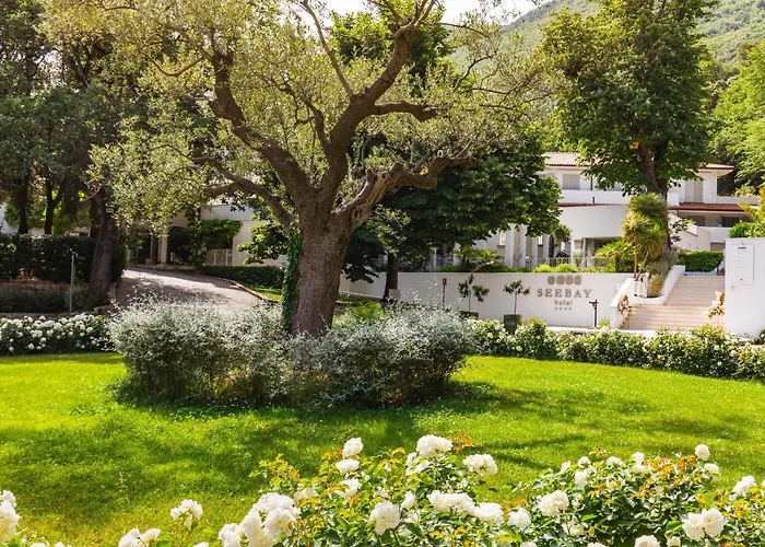 SeebayAlbergo
